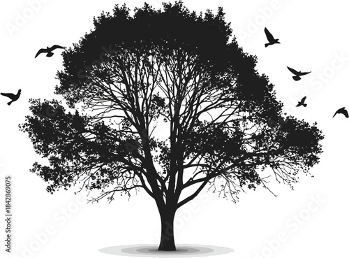Silhouette of a large deciduous tree with detailed branches and scattered birds flying around its crown on a light gray background symbolizing nature wildlife and freedom. isolated on white background