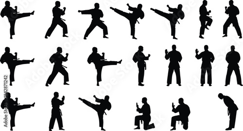 Karate and Martial Arts Silhouette Collection of Fighters Performing High Kicks, Defensive Blocks, and Bowing Stances for Sport and Fitness Training