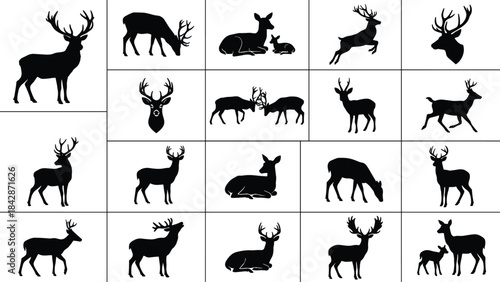 Collection of Deer Silhouettes Standing Running and Resting Stags Does and Fawns Vector Illustration Set
