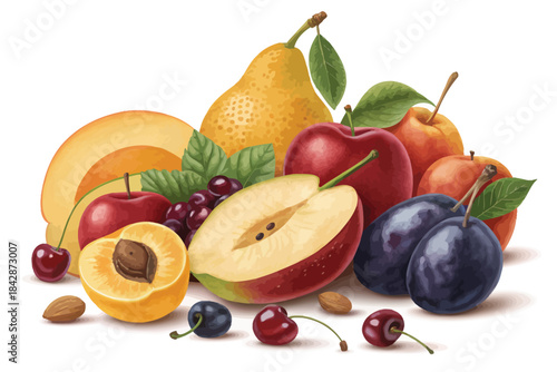 Assortment of fresh ripe fruits including apples pears plums cherries and apricots vector illustration