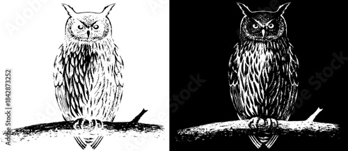 Vintage Owl Engraving on Branch, Inverted Black White Xerography Vector for Laser Engraving on Dark Background