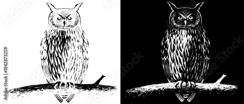 Vintage Owl Engraving on Branch, Inverted Black White Xerography Vector for Laser Engraving on Dark Background