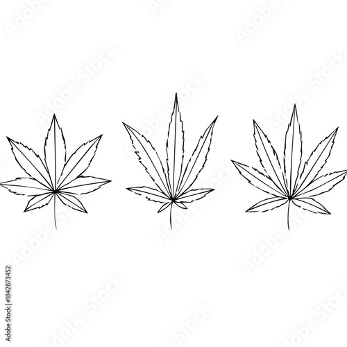 black and white leaves