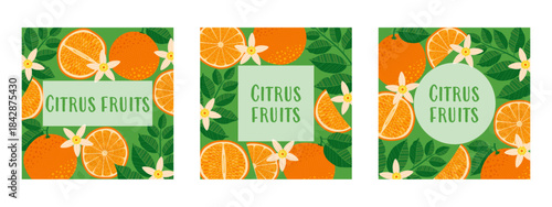 Set of three bright square citrus illustrations featuring oranges, slices, and leaves with copy space. Perfect for cards, invitations, covers, flyers, banners, brochures, and fresh summer designs.