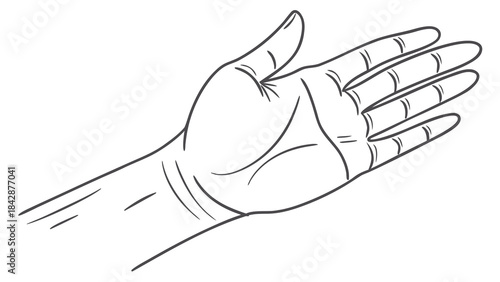 HAND MODEL IN NEW STYLE 