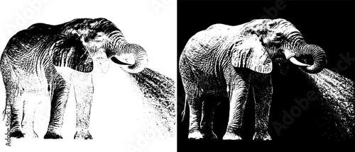 Vintage Elephant Engraving, Inverted Black White Xerography Vector for Laser Engraving on Dark Background