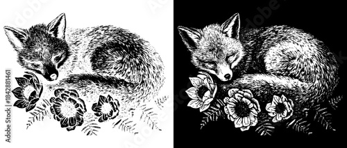 Vintage Fox Engraving with Flowers, Inverted Black White Xerography Vector for Laser Engraving on Dark Background