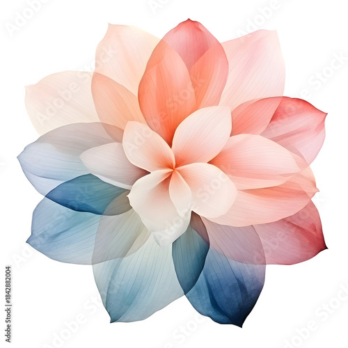 Flower petal overlay with watercolor texture, isolated and ready to layer, Isolated to Transparent Background