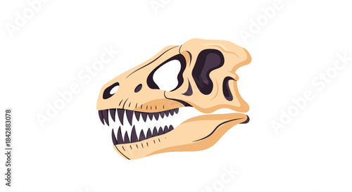 Dinosaur Skull Fossil Illustration on White Background.
