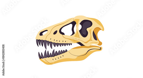 Tyrannosaurus Rex Skull Fossil Illustration on White Background.