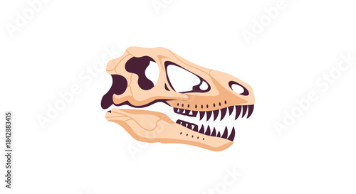 Tyrannosaurus Rex Skull Fossil Illustration on White Background.