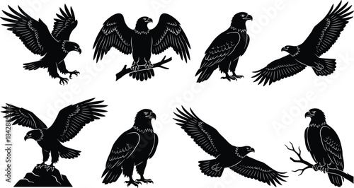 Set of eight eagle silhouettes in flight, perched, and landing poses showcasing majestic bird anatomy, strength, and wildlife illustration.