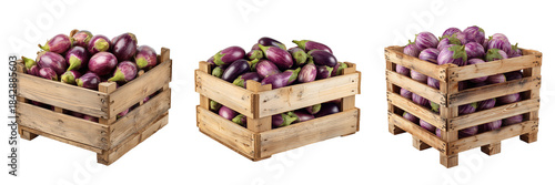 Set of Close-up of fresh purple eggplants in vintage wooden crates, arranged neatly transparent png background. Ai generated