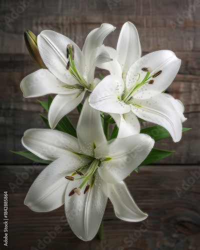 Three white lilies with green stems and brown anthers against a dark wooden background white lily flower