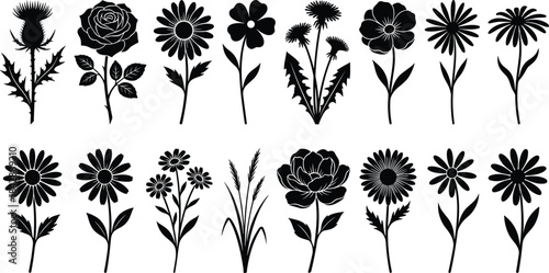 Black Silhouette Vector Set of Stylized Flowers with Diverse Petal Shapes, Leaf Designs, and Botanical Forms for Nature and Art
