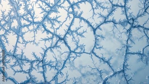 Close-up of icy tree branches with frost patterns on a cold, winter day. Nature and winter scene. Freezing and frost formations. The intricate patterns of ice on tree branches.