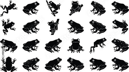 Set of black frog and toad silhouettes vector illustration featuring tree frogs and amphibians jumping sitting and climbing