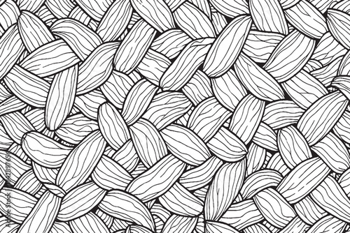 Hand Drawn Black and White Abstract Woven Pattern