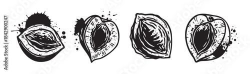 Stylized black and white plum halves with pits and grunge texture details, perfect for a vintage-inspired design or food illustration.