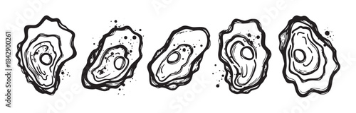 Five hand drawn oysters are presented as stylized ink illustrations, featuring a rough, artistic texture suitable for seafood restaurant branding or culinary designs.