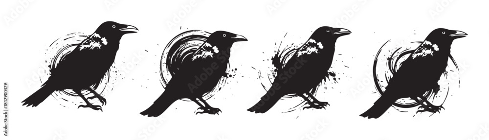 Obraz premium Four black raven bird silhouettes with artistic grunge brush stroke effects create a striking and mysterious graphic illustration perfect for various design projects.