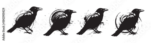 Four black raven bird silhouettes with artistic grunge brush stroke effects create a striking and mysterious graphic illustration perfect for various design projects.