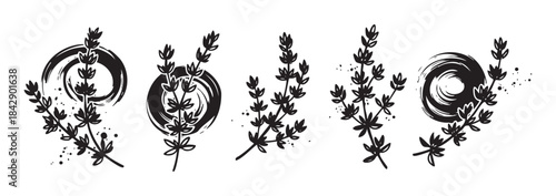 Stylized hand-drawn herbal sprigs with artistic brush strokes and decorative speckles create a minimalist botanical illustration set.