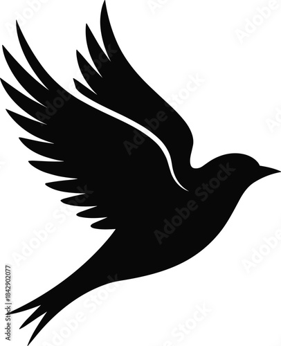 Black silhouette of a bird in flight with outstretched wings