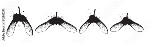 Four stylized black maple seeds with grunge ink splatters arranged horizontally, depicting natural autumn elements in a decorative vector illustration.