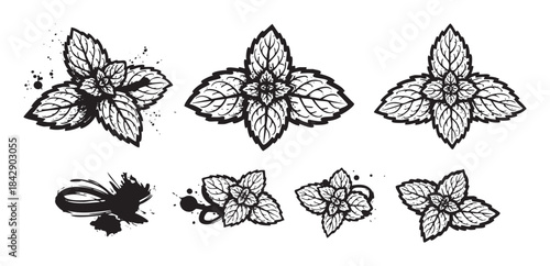 Mint leaves illustrations in various hand-drawn styles, featuring a collection of fresh herbal elements with grunge and ink splatter textures.