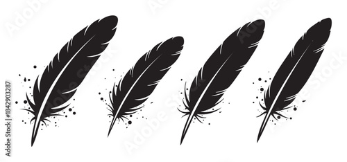 Four elegant black feathers with artistic ink splatters create a beautiful and decorative graphic element for various design projects.