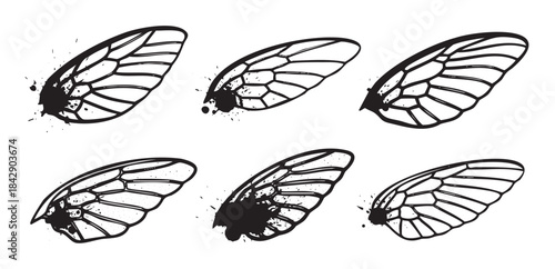 Six stylized insect wings with a grunge ink splatter effect at their base, creating a unique artistic design element for various creative projects.