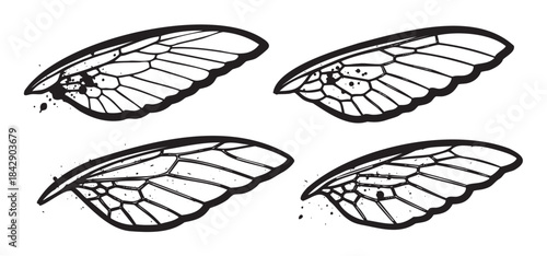 Insect wings with intricate venation patterns and artistic ink splatters form a unique and stylized graphic design element, perfect for creative projects.