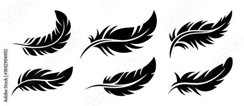A set of six elegant black feather silhouettes and icons for design projects