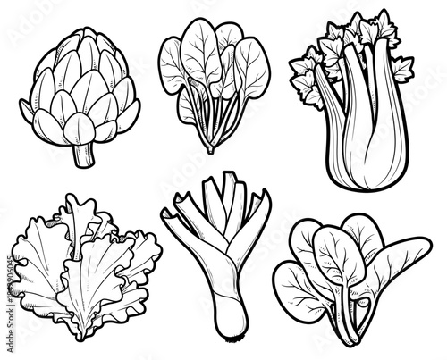 Greens - shallots, lettuce, spinach, celery linear drawing for coloring page on white background