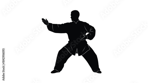 A striking silhouette of a person performing a dynamic martial arts pose against a white background