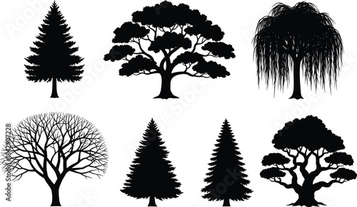 Tree silhouette vector illustration featuring diverse species including fir, willow, leafless, and broad canopy trees in black and white.