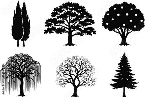 Tree silhouette vector illustration featuring diverse species including willow, fir, fruit, cypress, and leafless trees in black and white.