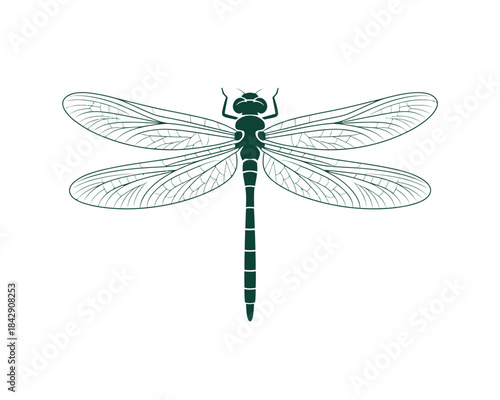 Abstract dragonfly vector illustration with geometric wings, soft gradient colors, minimal modern styling, symmetrical detail, and dynamic shapes ideal for branding, digital artwork, creative projects