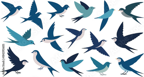 Colorful flying swallow bird illustrations, decorative vector set of swifts in various poses, migration wildlife design