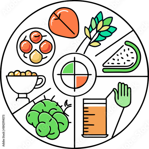 Line art vector of a hand dividing a plate into clear sections for protein, carbs, and vegetables, balanced plate concept, white background.