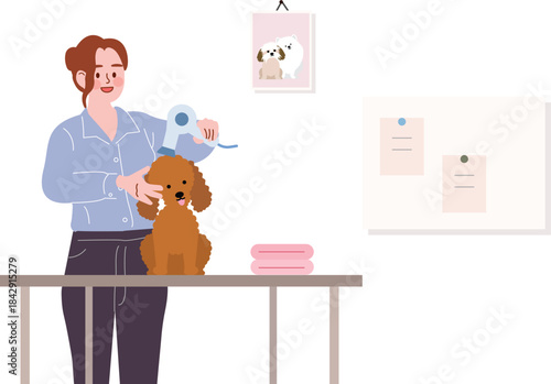 Pet Groomer Drying a Poodle
