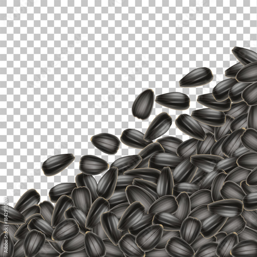 Handful of sunflower seeds along the right edge of a transparent background. Close-up of scattered black seeds. Vector. Realistic design
