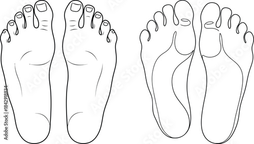 Bare Feet Soles Outline Line Art Foot Anatomy Bottom View