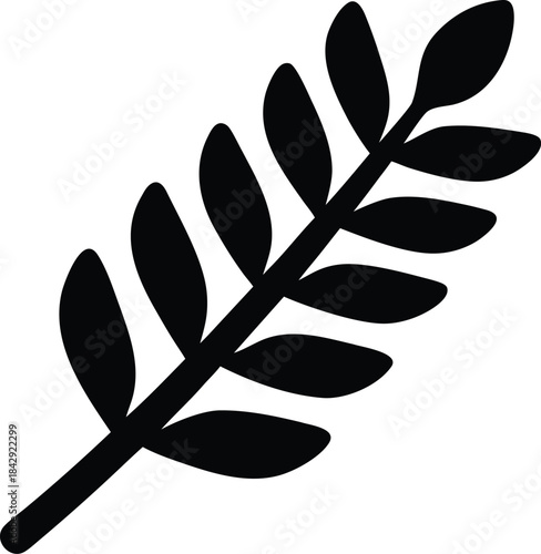 Fern Leaf Silhouette Vector Transparent Background