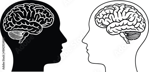 human head with brain