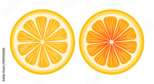 Orange slice. Vector illustration isolated on white background.