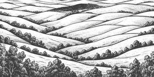 Rolling hills with scattered trees