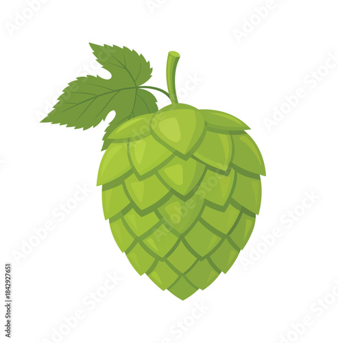 Fresh Green Hop Cone with Leaf for Brewing