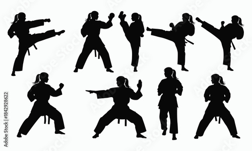 ASilhouettes of martial artists performing various kicks and fighting stances against a white backgrounddobe Illustrator Artwork